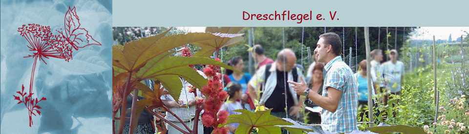 Dreschflegel e. V. - Förderung biologischer Züchtung - Gartenbild