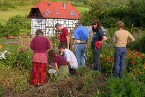 Feldrundgang beim Saatgutseminar in Schönhagen